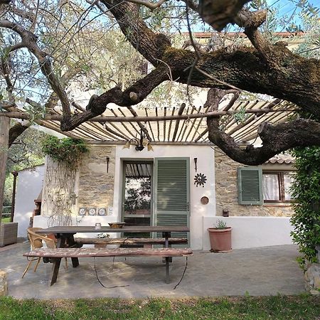 Agriturismo Villa Carducci Castagneto Carducci Esterno foto